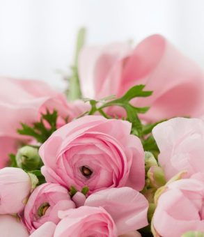flowers-blog-img-9